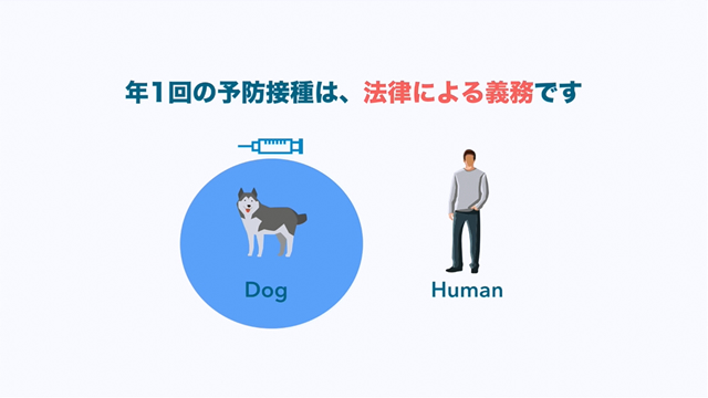 狂犬病予防 公益社団法人 名古屋市獣医師会