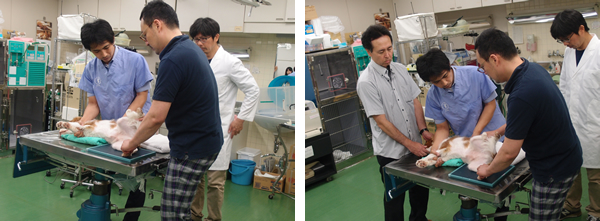 福田 真平 先生 JARMeCの運動器疾患の治療指針シリーズ④　膝のレントゲン撮影法（実習）の模様