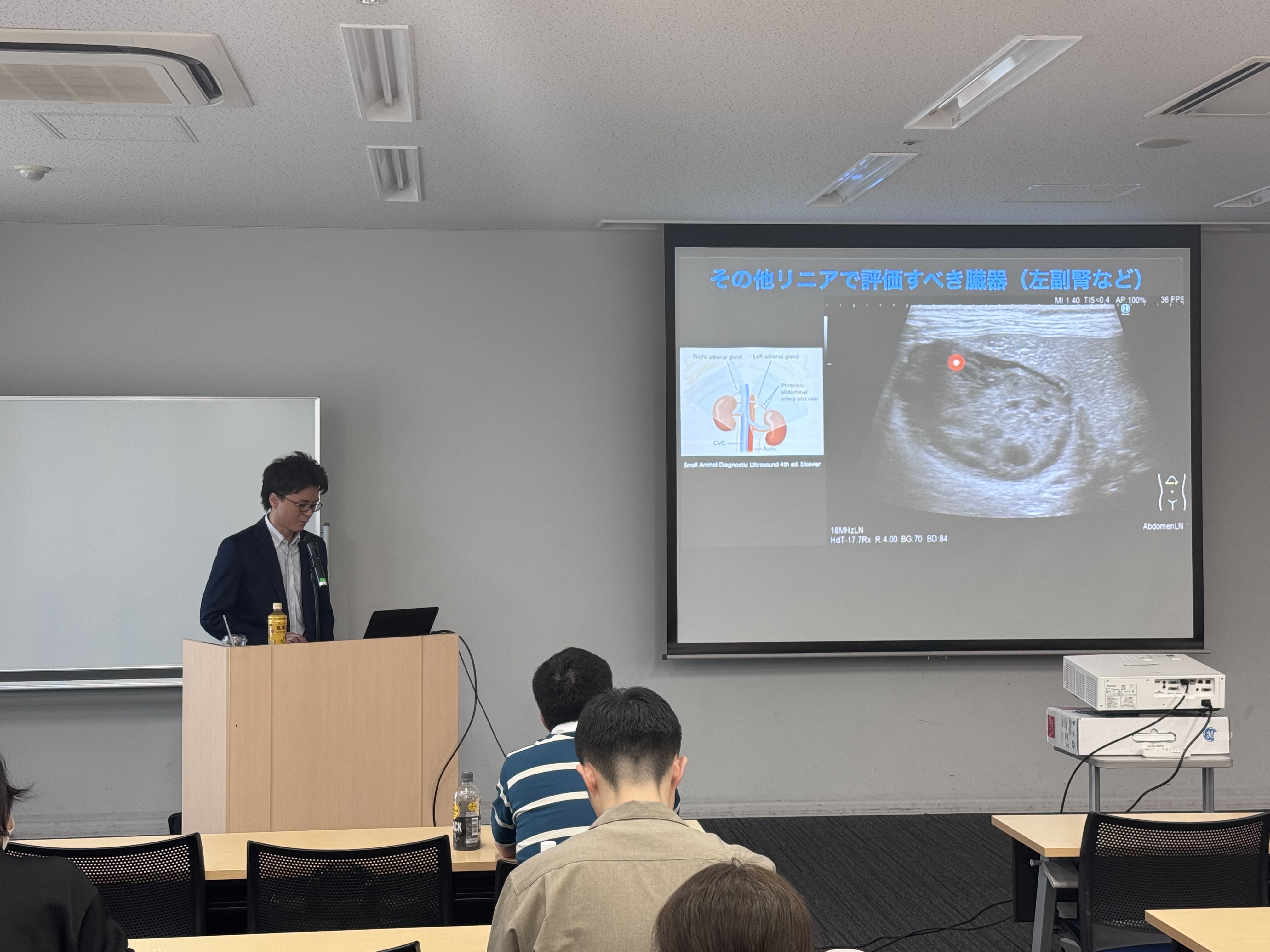 腹部超音波セミナーの様子