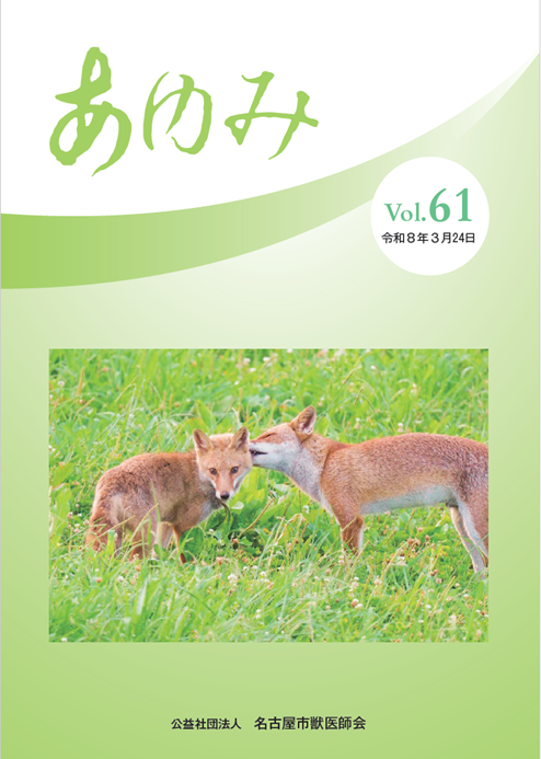 あゆみ vol.61