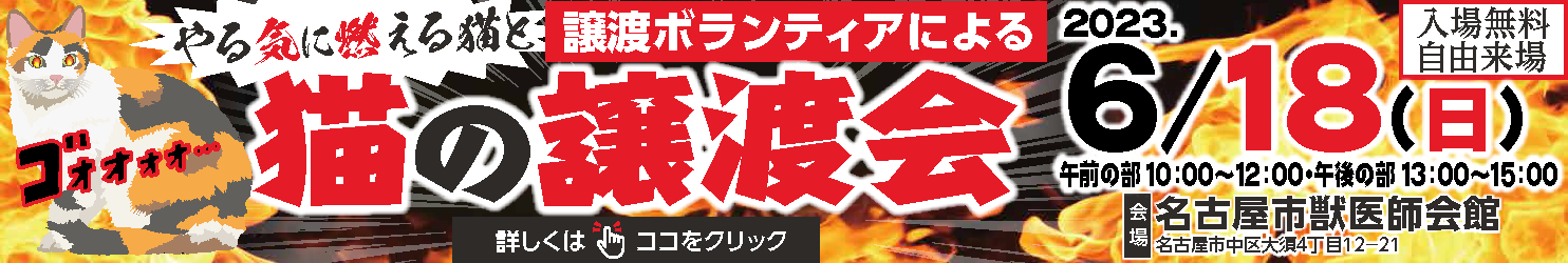 猫の譲渡会6月18日開催