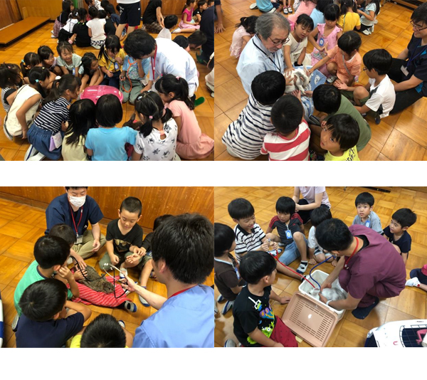 荒子小学校１年生「動物ふれあい教室」開催